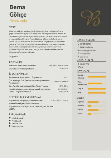 Fizyoterapist Cv Örnekleri cv indir